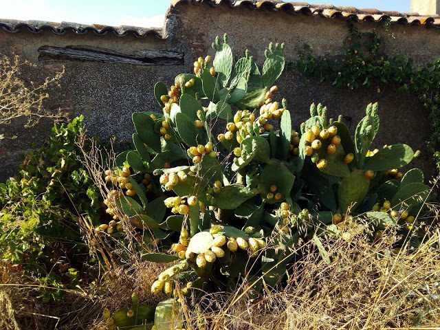 img_20180904_181113-2243034