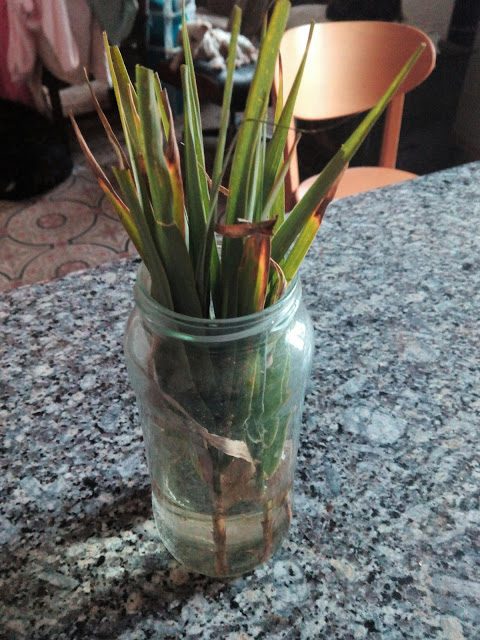 img_20181025_091914-1127372