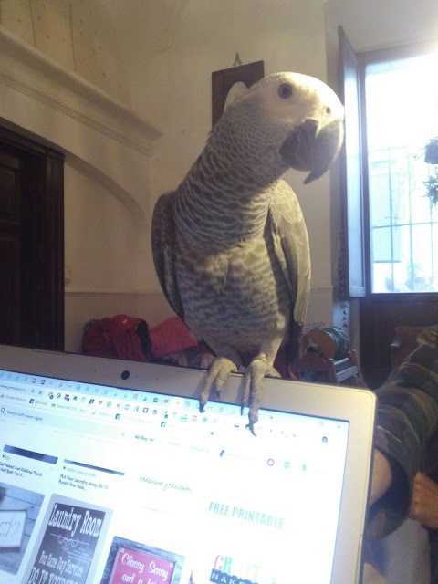 img_20181117_082208-9257294