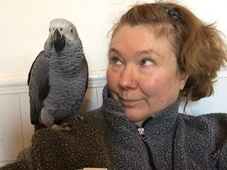 ludvig2band2bme-5156411