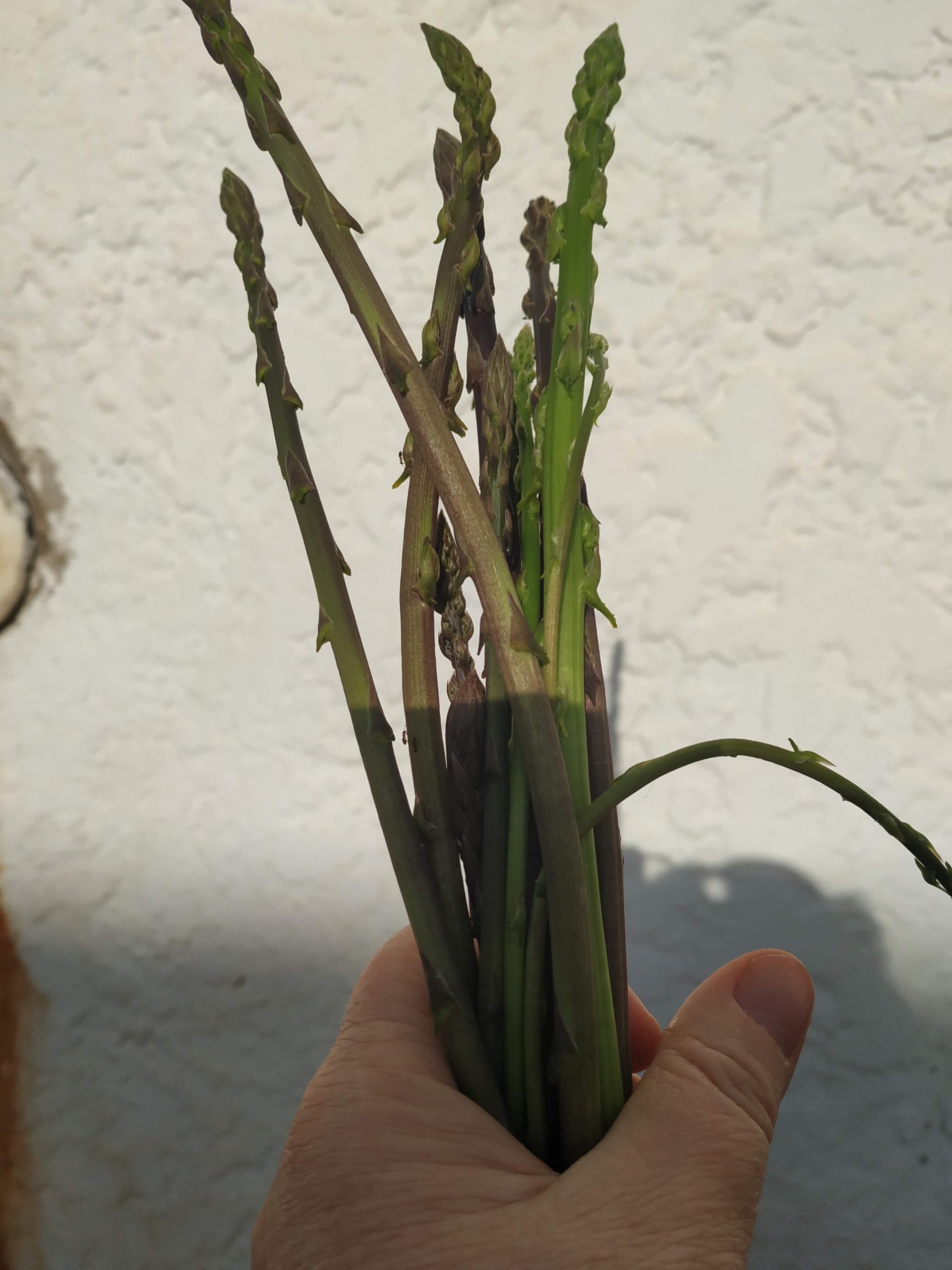 img_20190217_171634-5854791