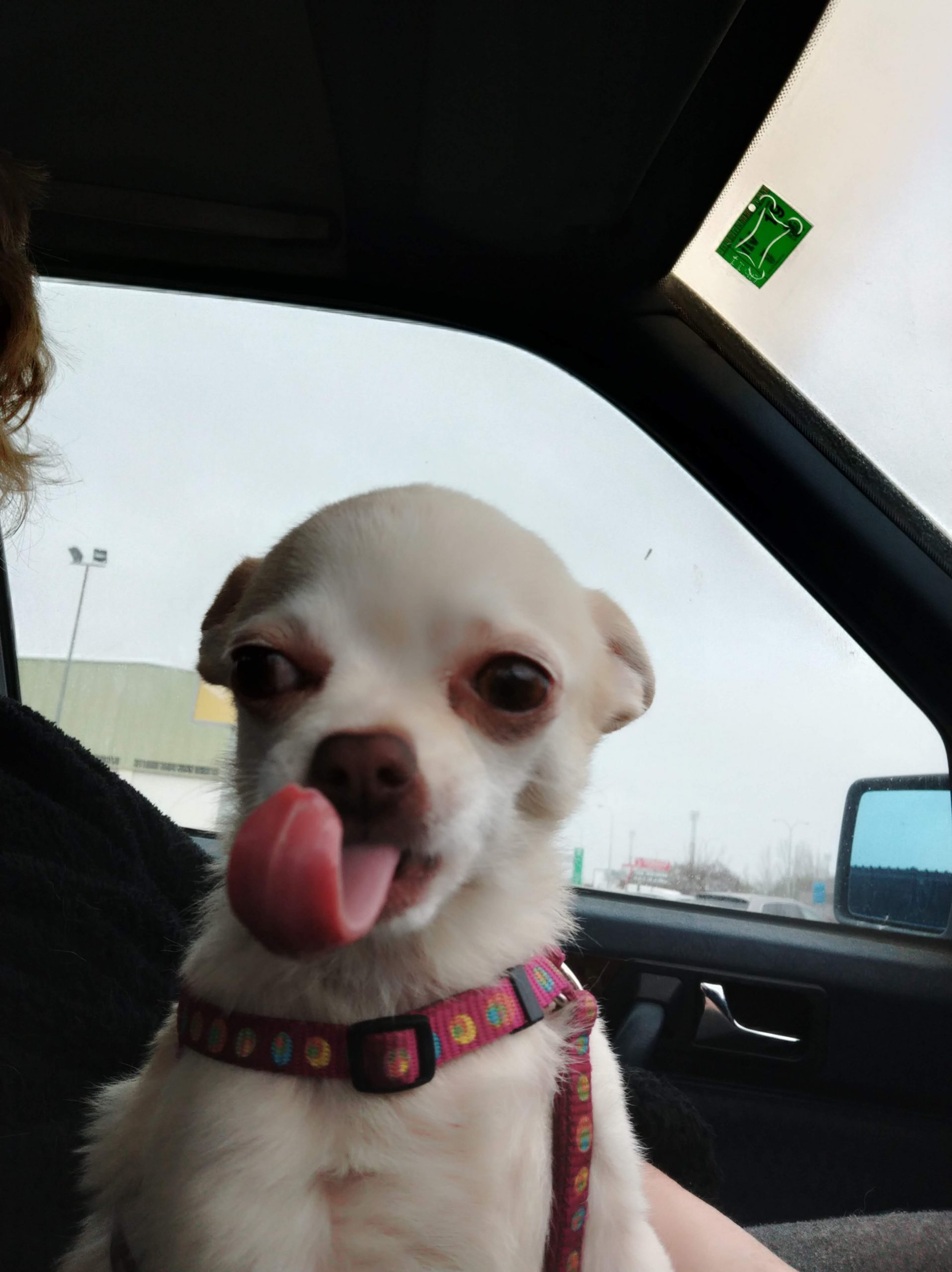 img_20190305_122537-5186876