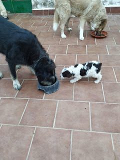 img_20190417_075703-6899047