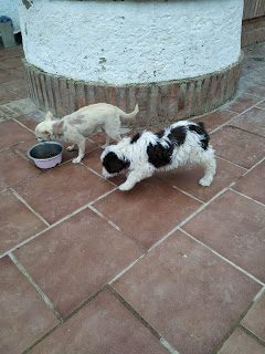 img_20190417_075718-5955400