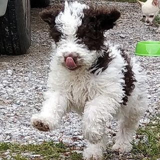 img_20190420_183130_716-3713741