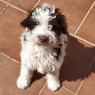 img_20190518_115828_860-4618057