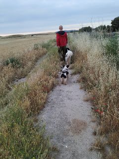 img_20190524_072727-6120221