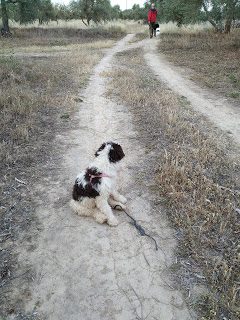 img_20190524_073533-3364452