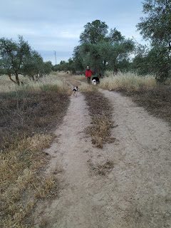 img_20190524_073545-1237542