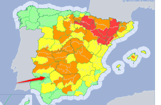 2019-06-29_09h49_12-6348745