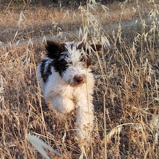 img_20190620_081129_943-2846913