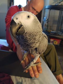 img_20190718_083215-9557330