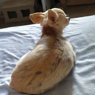 img_20190810_095942-01-7837824