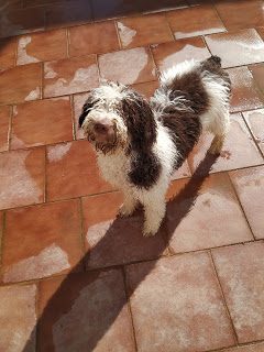 img_20190818_104819-5820918