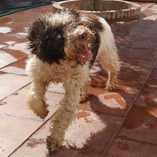 img_20190818_104933_burst18-01-2956411