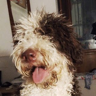 img_20190910_185332_500-3578424