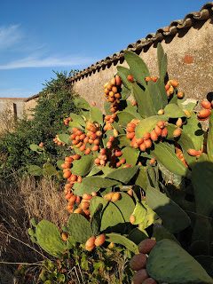 img_20190930_093850-9758674