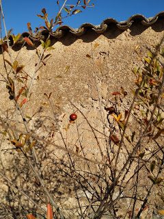 img_20190930_094045-4541186