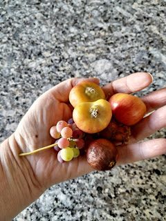 img_20190930_094355-1104757