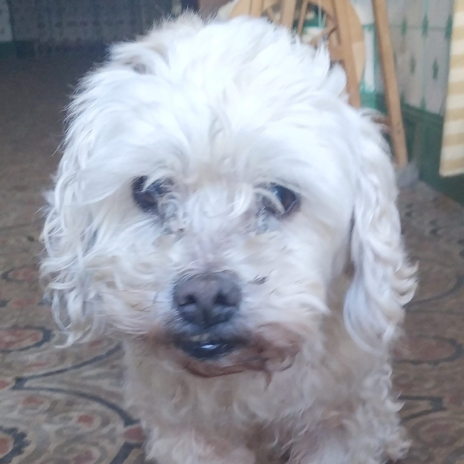 1575795820021678-1-2414053