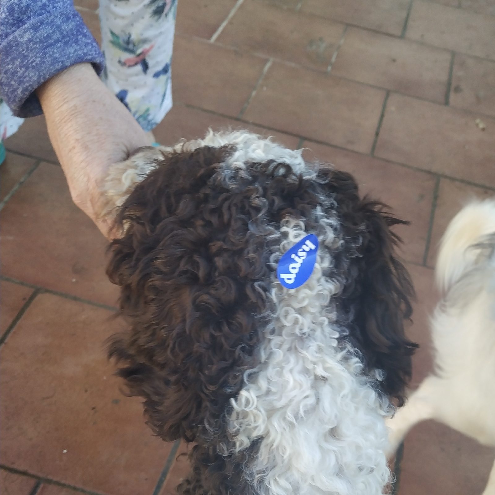 1575795842735300-0-3532138