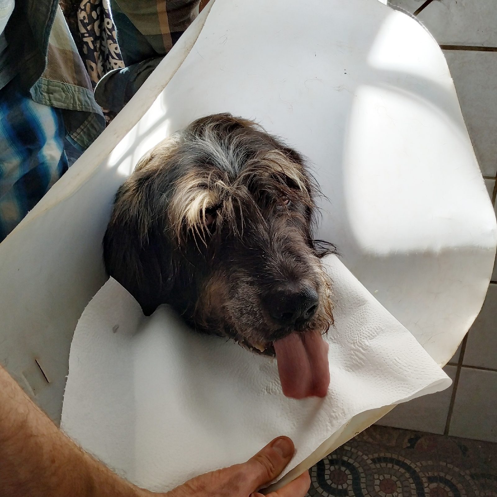 1577551724985657-0-4432717