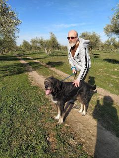 img_20200116_153203-8173782