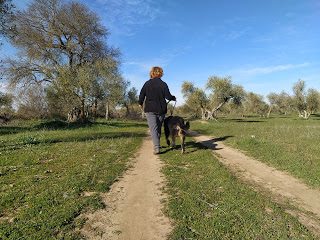 img_20200116_153337-7474476