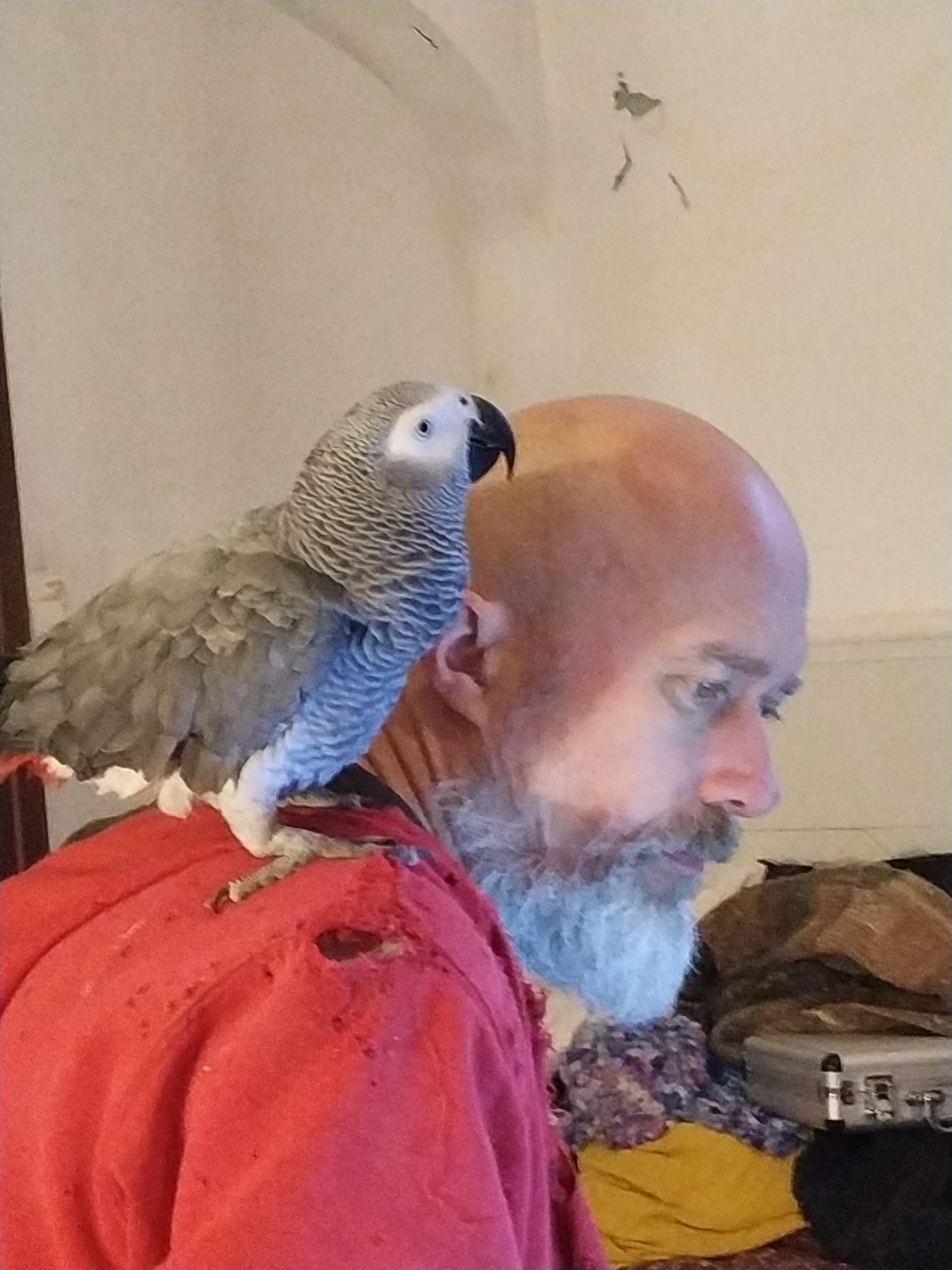 1580543357174021-0-7276372