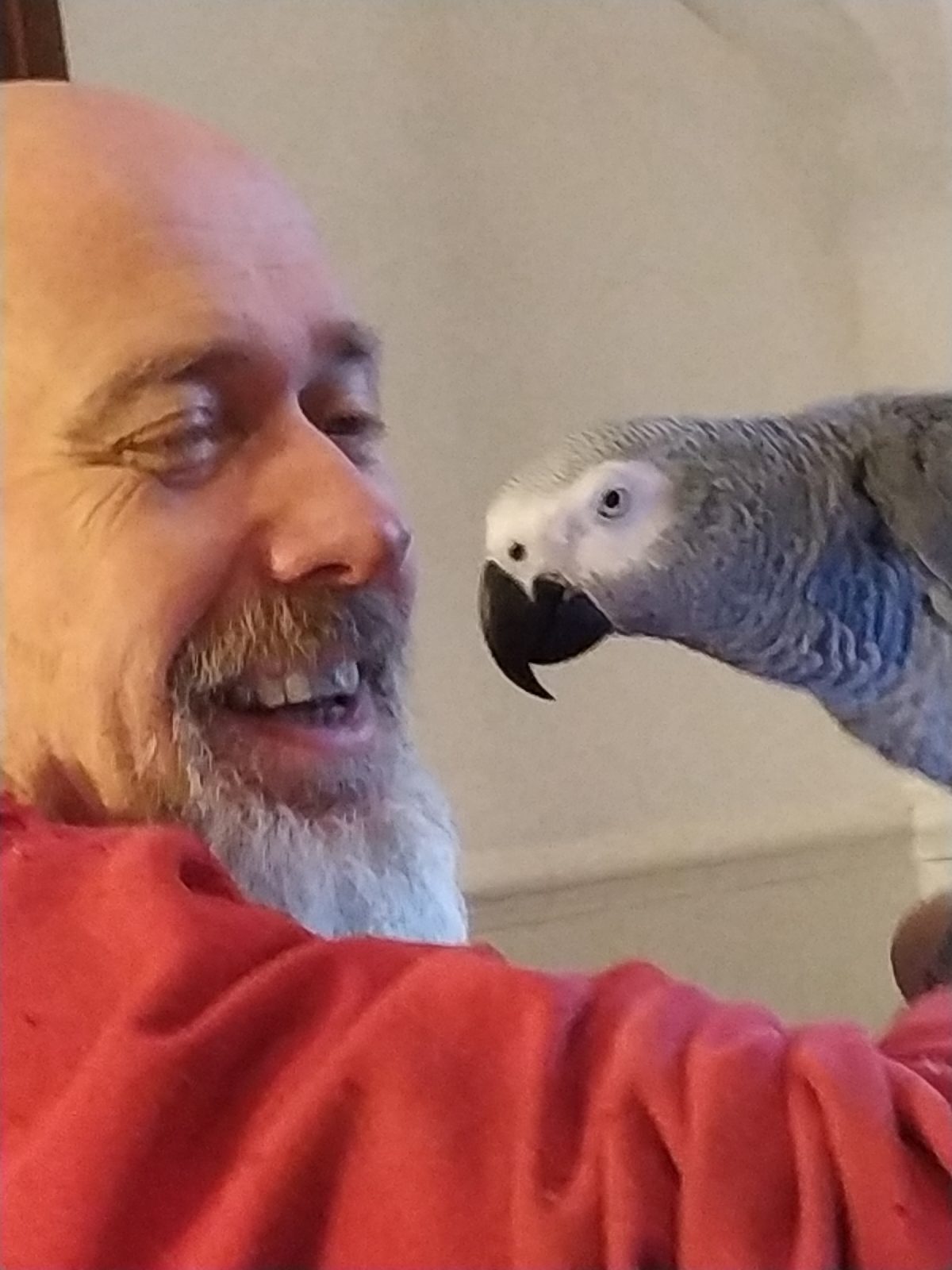 1580543708284808-2-4168444