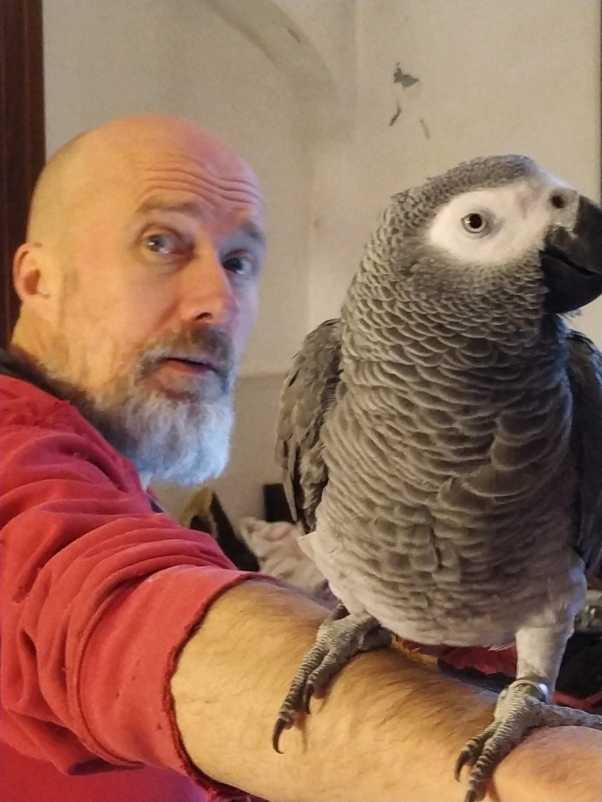 1580543745783939-1-1540519