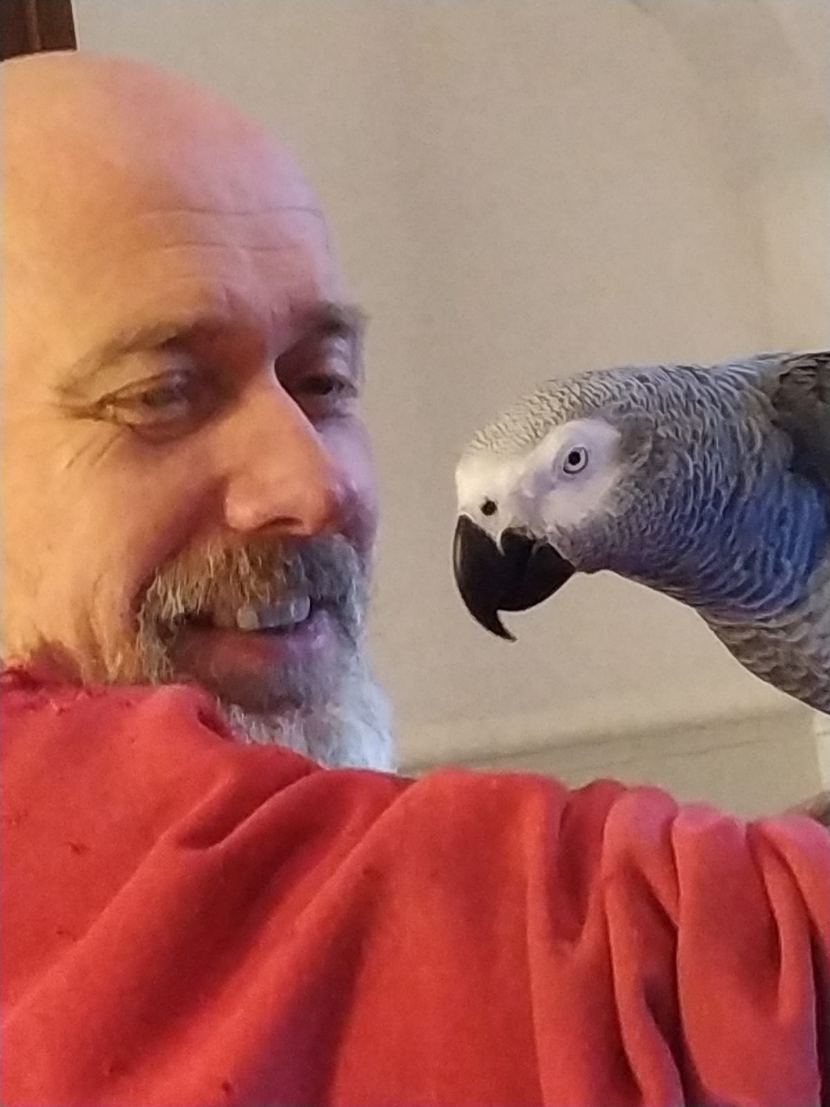 1580543782290177-0-4920780