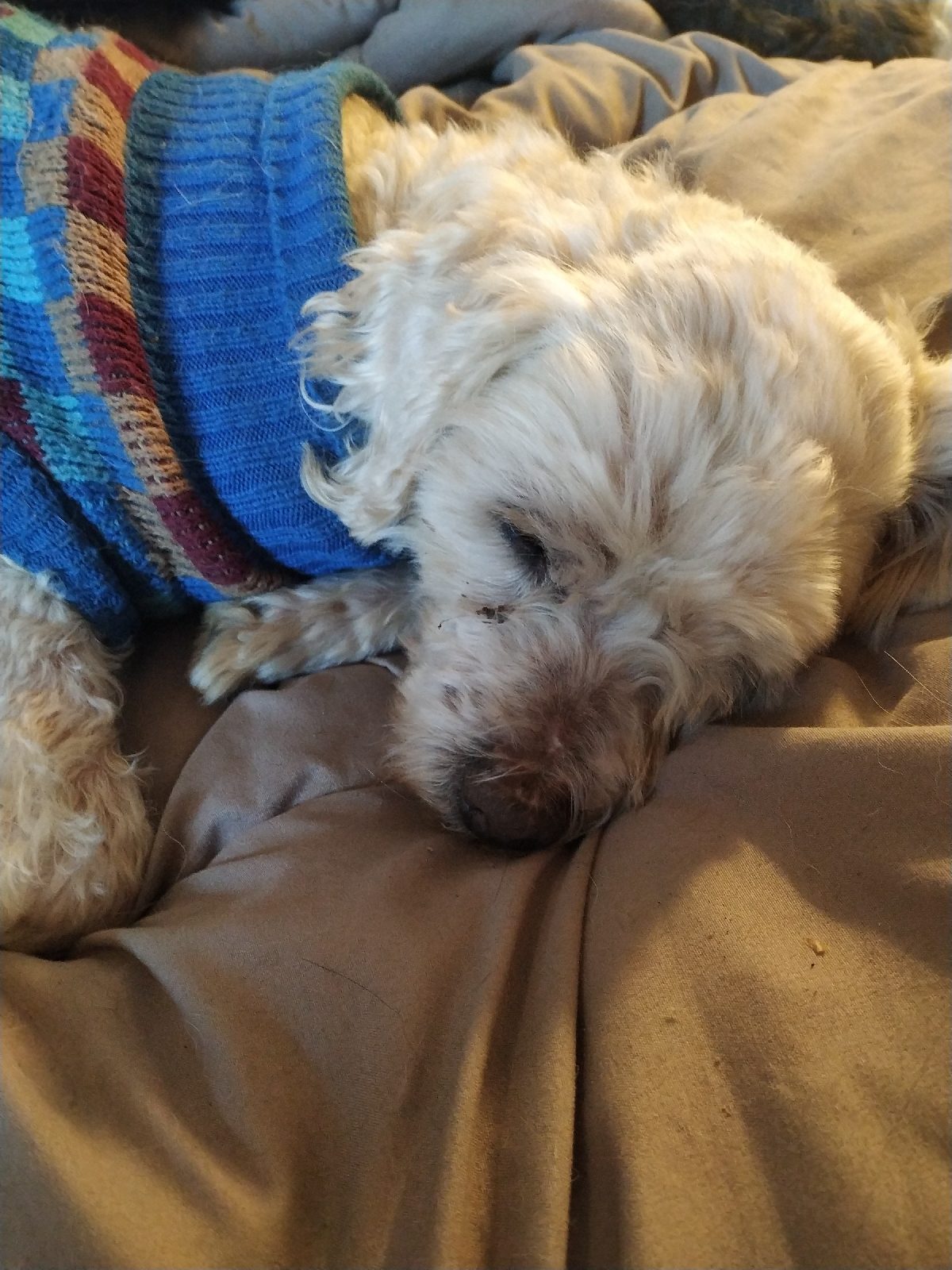 1580627527059872-1-7163895