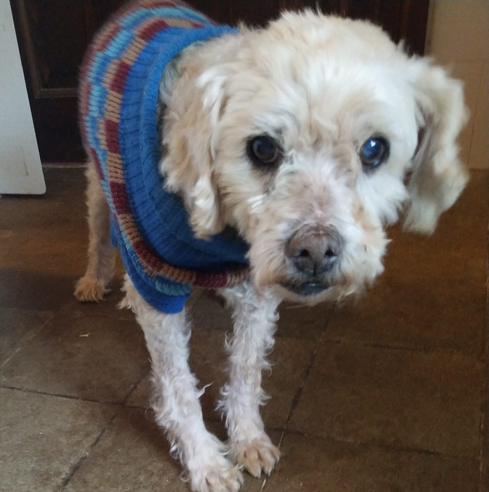 1580627558377517-0-5721400