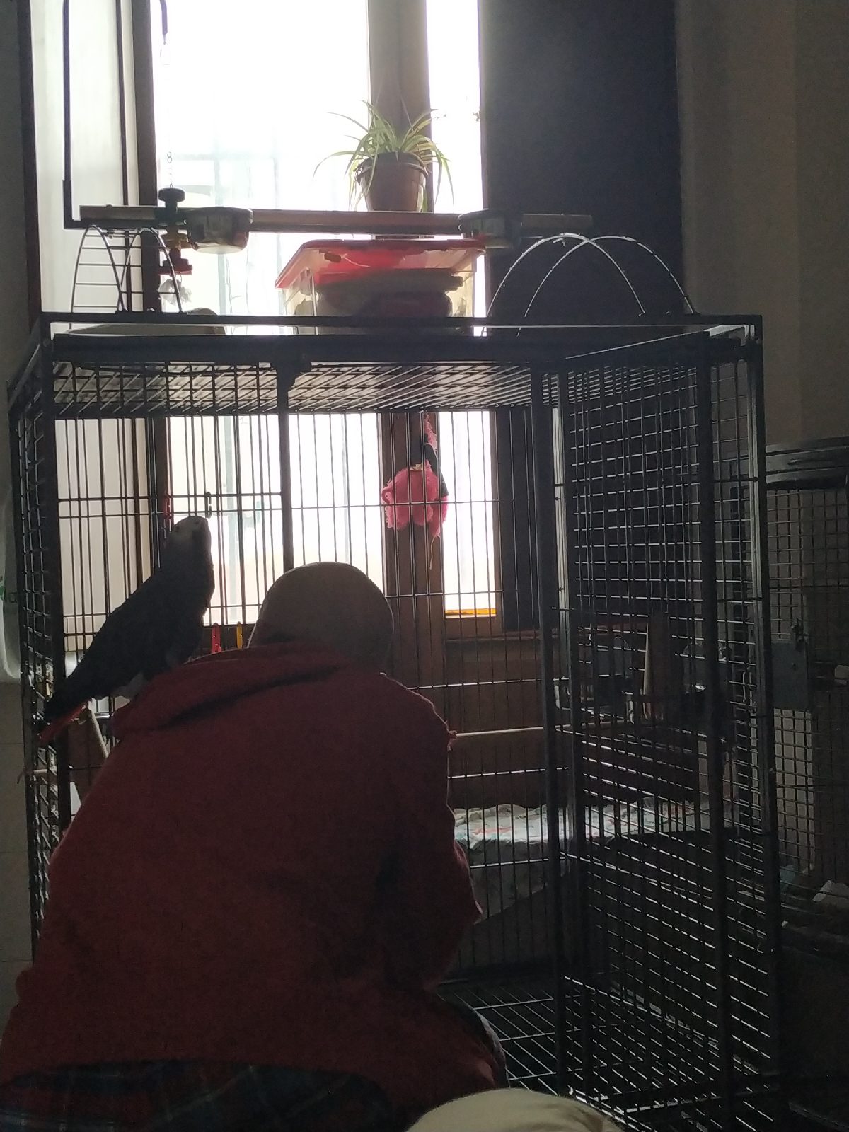 1581100149714102-0-1697739