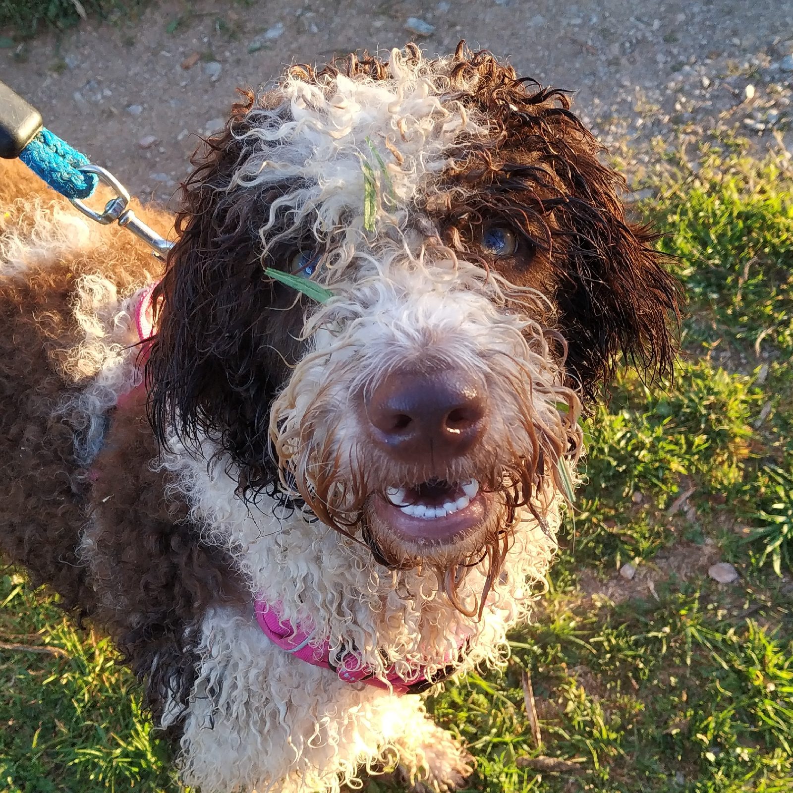 1583825840407895-0-7799969