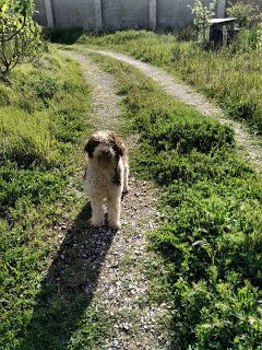 img_20200405_181929-7232468