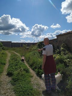 img_20200419_173800_burst63-8199641