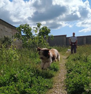 img_20200419_173822_burst21-9208143