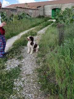 img_20200419_174404-4349899