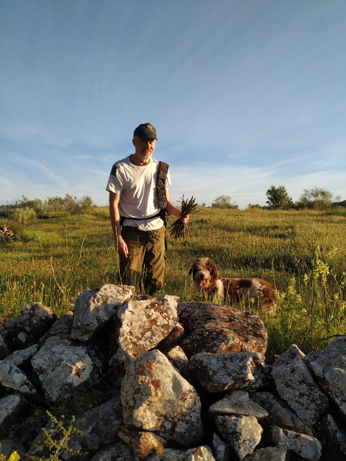 1588490791137412-2-4747029