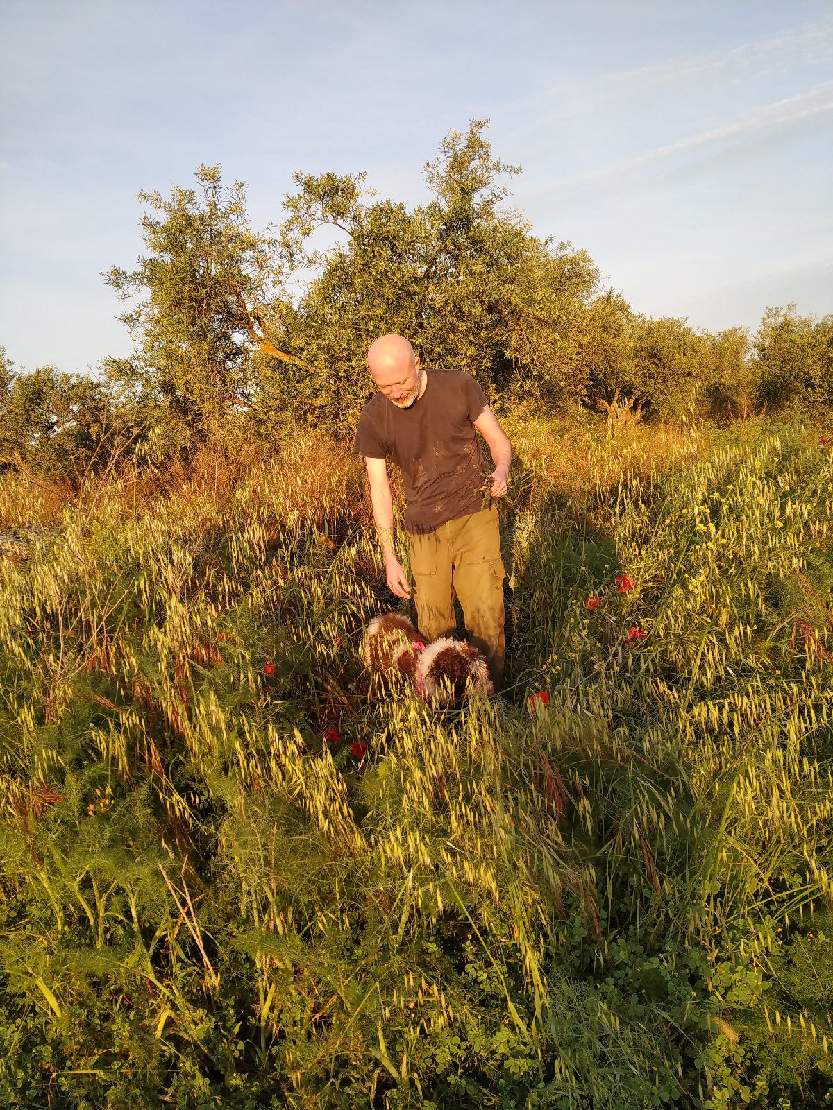 1588659394281729-0-2055258