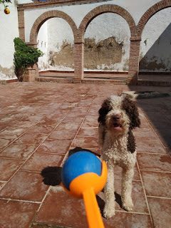 img_20200702_111844-2880265